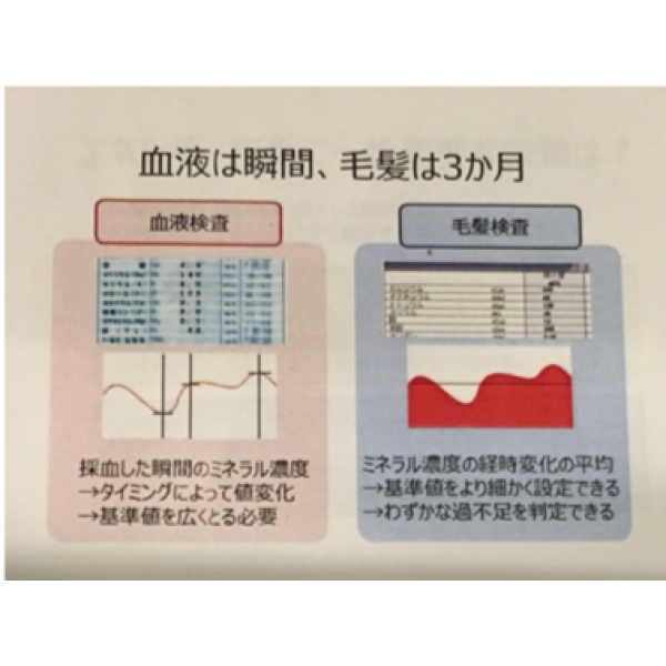 リニューアル版 メールセミナー 毛髪ミネラル検査アドバイザー講座