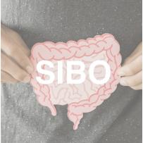 e-Book 腸活で不調になる人のためのSIBO完全ガイドPDF