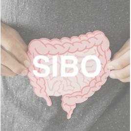 e-Book 腸活で不調になる人のためのSIBO完全ガイドPDF