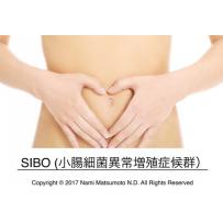 動画セミナー SIBO（シーボ・小腸内異常増殖症候群）対策